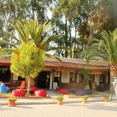 Medusa * Патара