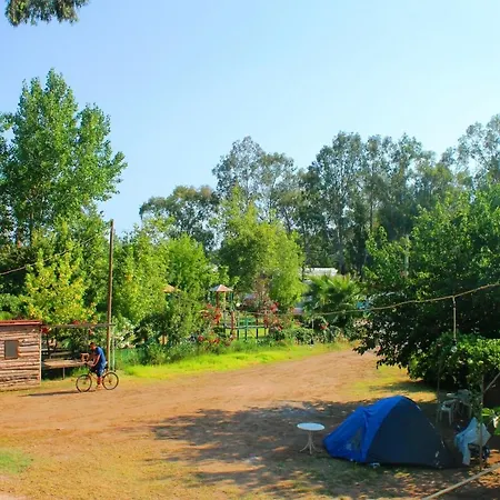 Medusa Кемпинг *