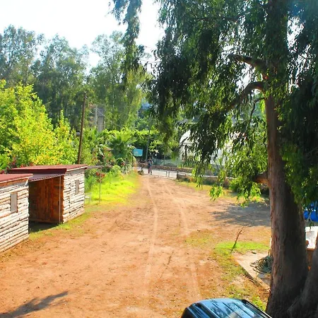 Medusa * Патара