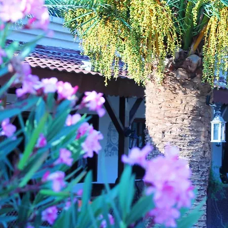 Medusa Кемпинг