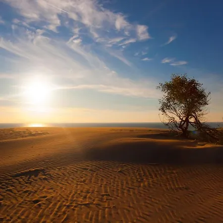 Medusa Кемпинг Патара