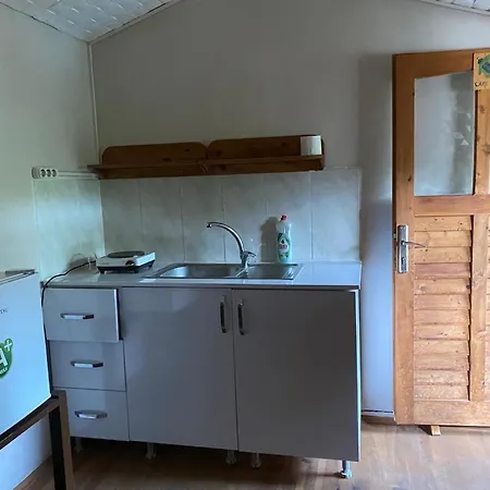 Medusa * Патара