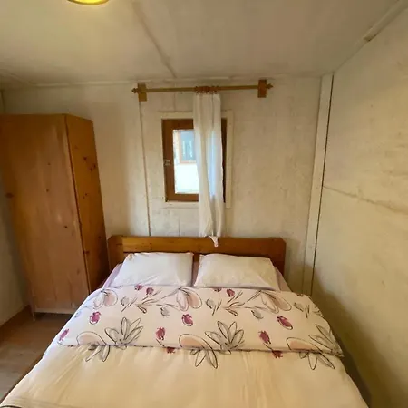 Medusa * Патара