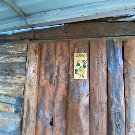 Medusa Кемпинг