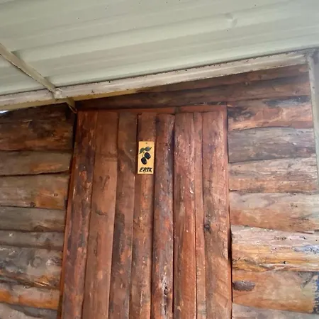 Medusa * Патара