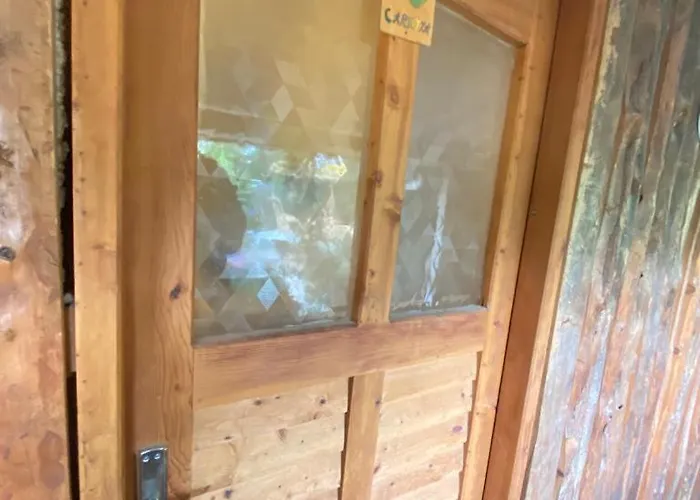 Medusa キャンプ場 *